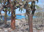 JPEG 640x480 DirectClass 8-bit 259kb 0.0u 0:01