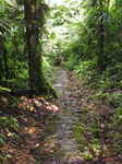 JPEG 480x640 DirectClass 8-bit 307kb 0.0u 0:01