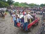 JPEG 640x480 DirectClass 8-bit 253kb 0.0u 0:01