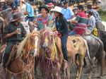 JPEG 640x480 DirectClass 8-bit 242kb 0.0u 0:01