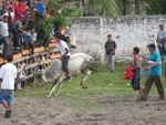 JPEG 639x480 DirectClass 8-bit 230kb 0.0u 0:01