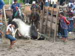 JPEG 640x480 DirectClass 8-bit 237kb 0.0u 0:01