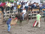 JPEG 640x480 DirectClass 8-bit 242kb 0.0u 0:01