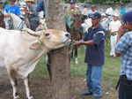 JPEG 640x480 DirectClass 8-bit 228kb 0.0u 0:01