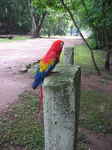 JPEG 480x640 DirectClass 8-bit 270kb 0.0u 0:01