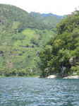 JPEG 480x640 DirectClass 8-bit 245kb 0.0u 0:01