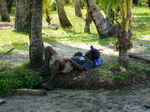 JPEG 640x479 DirectClass 8-bit 253kb 0.0u 0:01