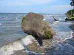 JPEG 640x480 DirectClass 8-bit 194kb 0.0u 0:01