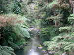 JPEG 640x480 DirectClass 8-bit 305kb 0.0u 0:01