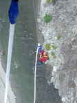 JPEG 480x640 DirectClass 8-bit 247kb 0.0u 0:01