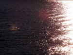 JPEG 639x480 DirectClass 8-bit 265kb 0.0u 0:01