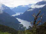 JPEG 640x480 DirectClass 8-bit 195kb 0.0u 0:01