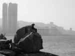 JPEG 639x480 DirectClass 132kb 0.000u 0:01