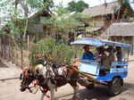 JPEG 640x480 DirectClass 313kb 0.000u 0:01